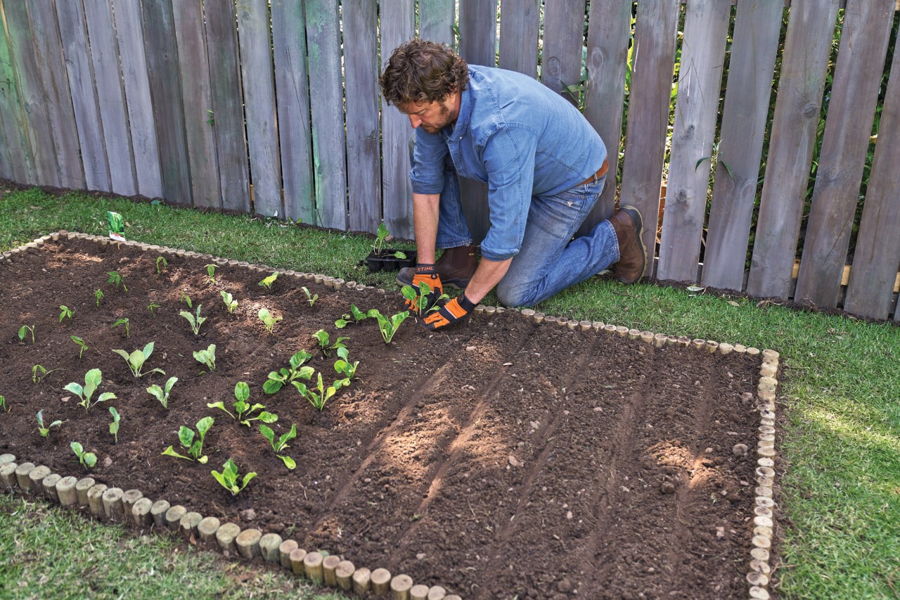 Woody mulch being spread on the ground around plants.