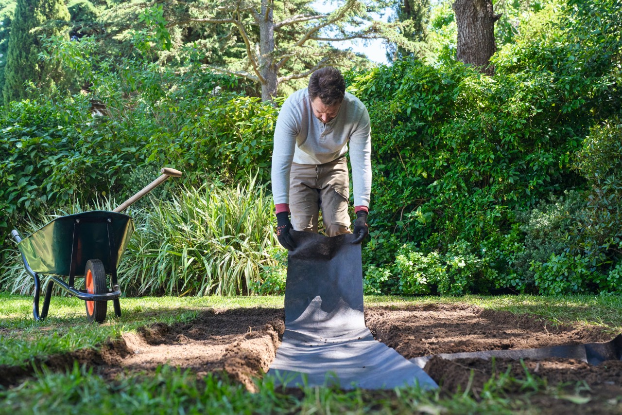 A man lays weed control fabric along a bed path