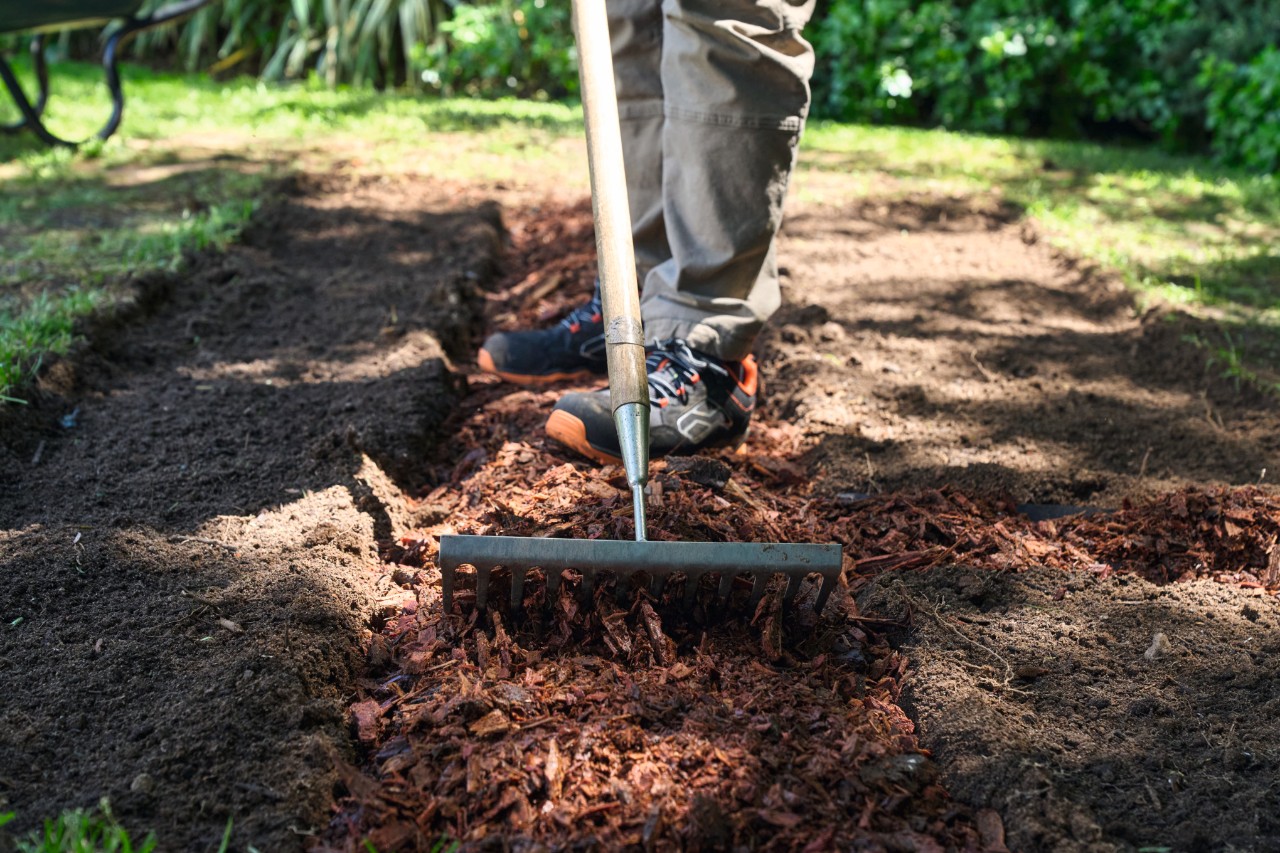 A person smoothing a bark mulch layer with a rake