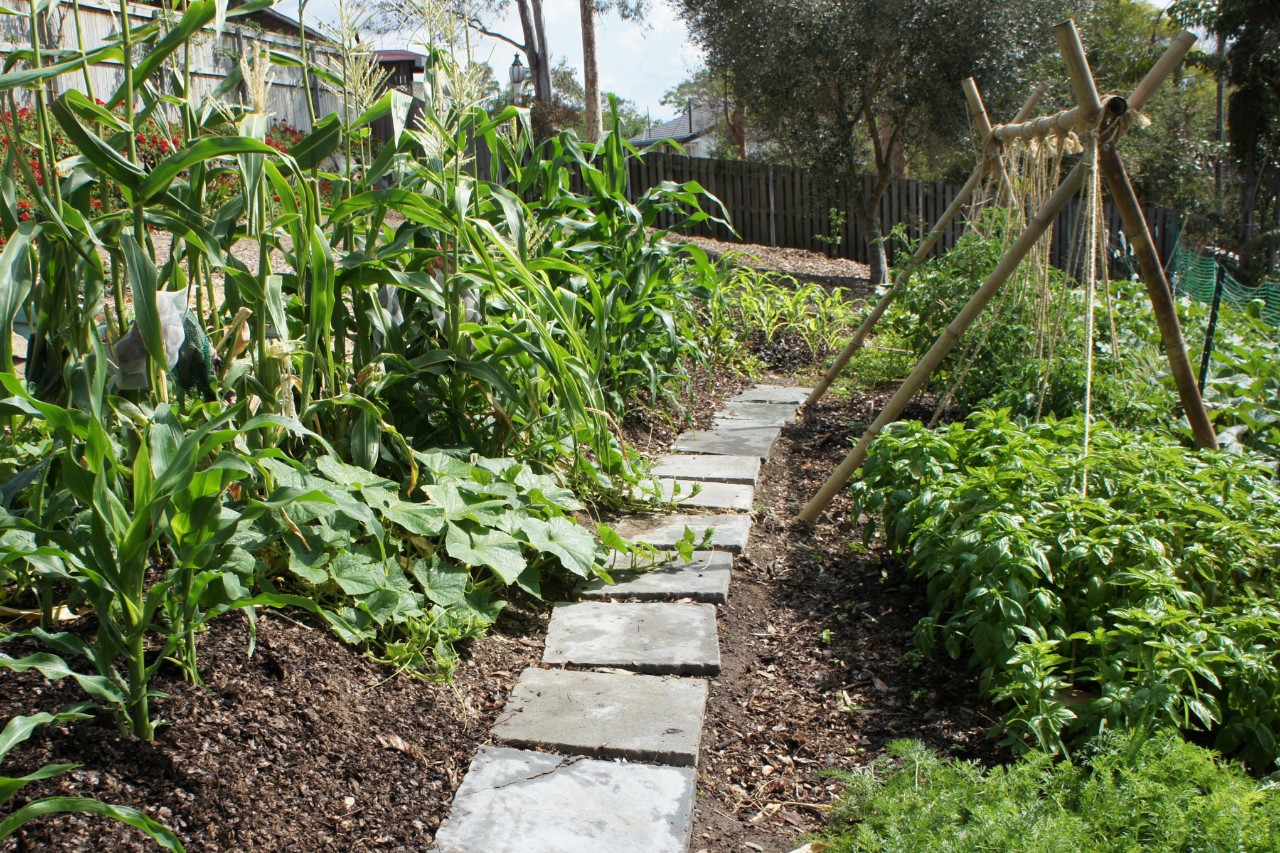Bed path with stone tiles in a garden bed
