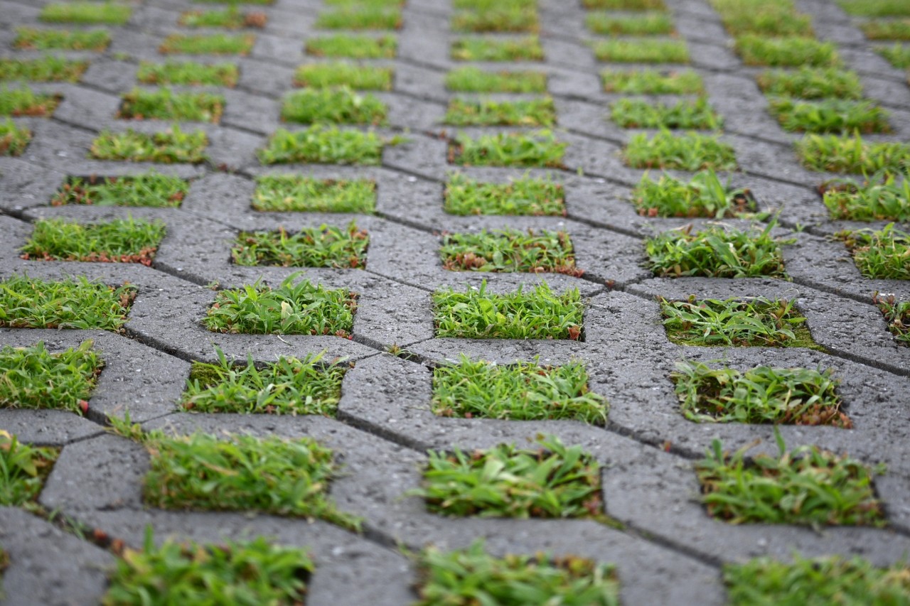 Grass grows between lawn lattice stones 