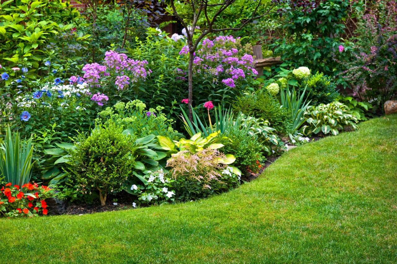 Colorful perennial bed in a garden