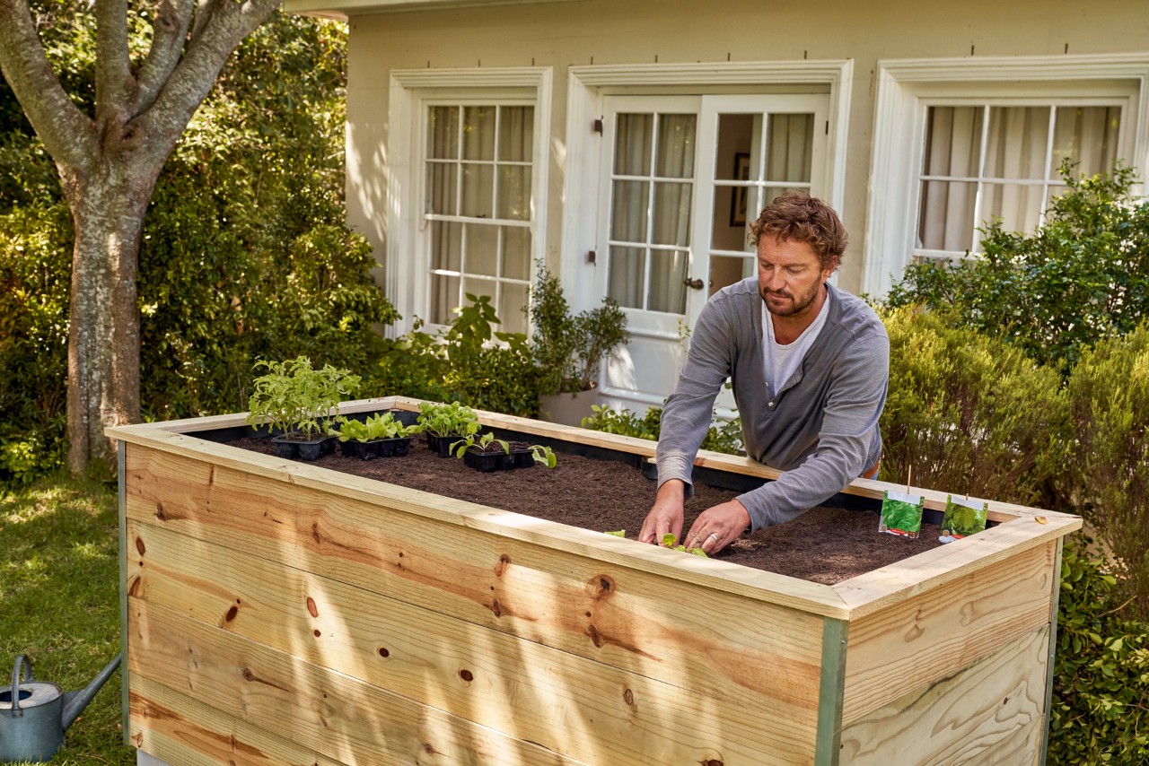 A man planting a raised bed