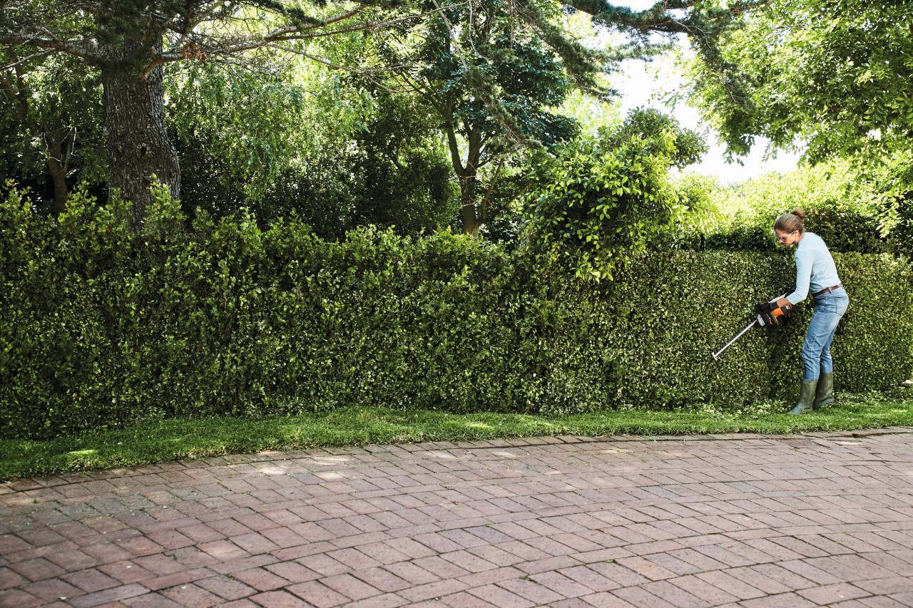 A woman using a STIHL HSA 56 cordless hedge trimmer to cut back a long, tall and green hedge, with tall trees in the background 