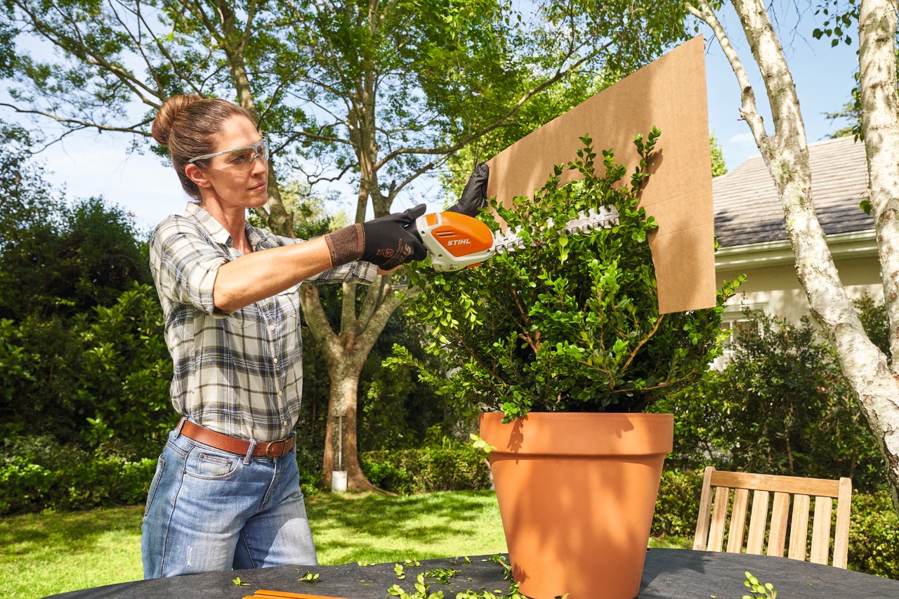 A woman trimming a box bush using STIHL HSA 26 cordless shrub shears and a ball-shaped cardboard template