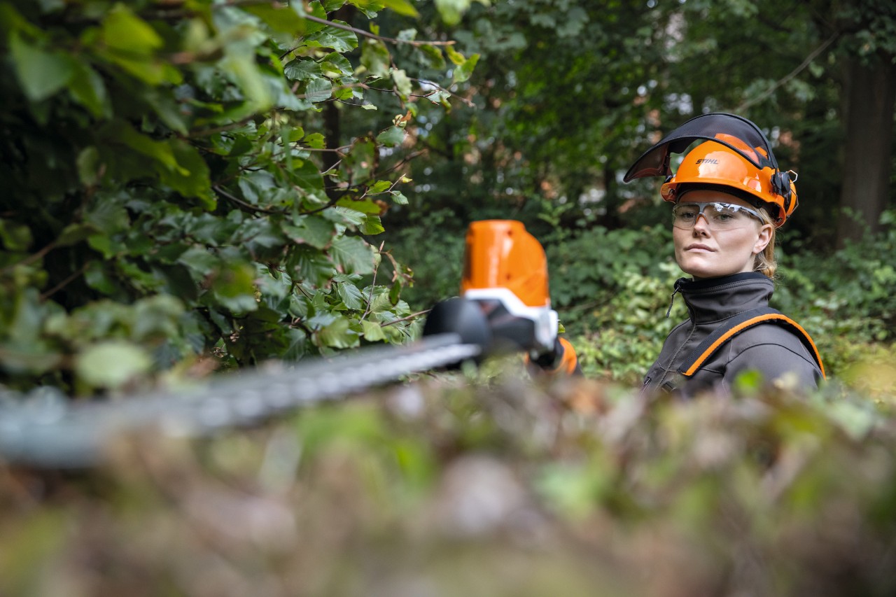 A blonde woman in protective equipment trimming a beech hedge