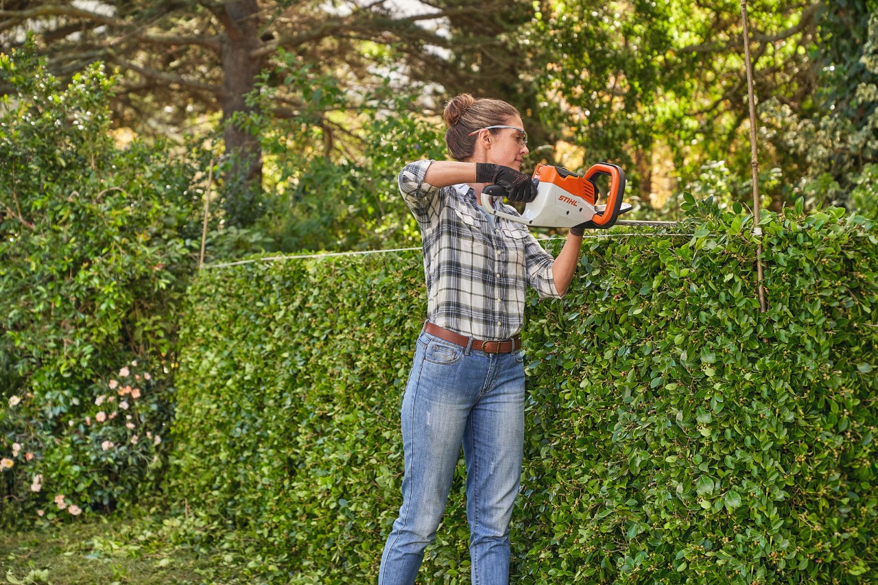 A woman in a checked top trimming a cherry laurel hedge with a STIHL cordless hedge trimmer