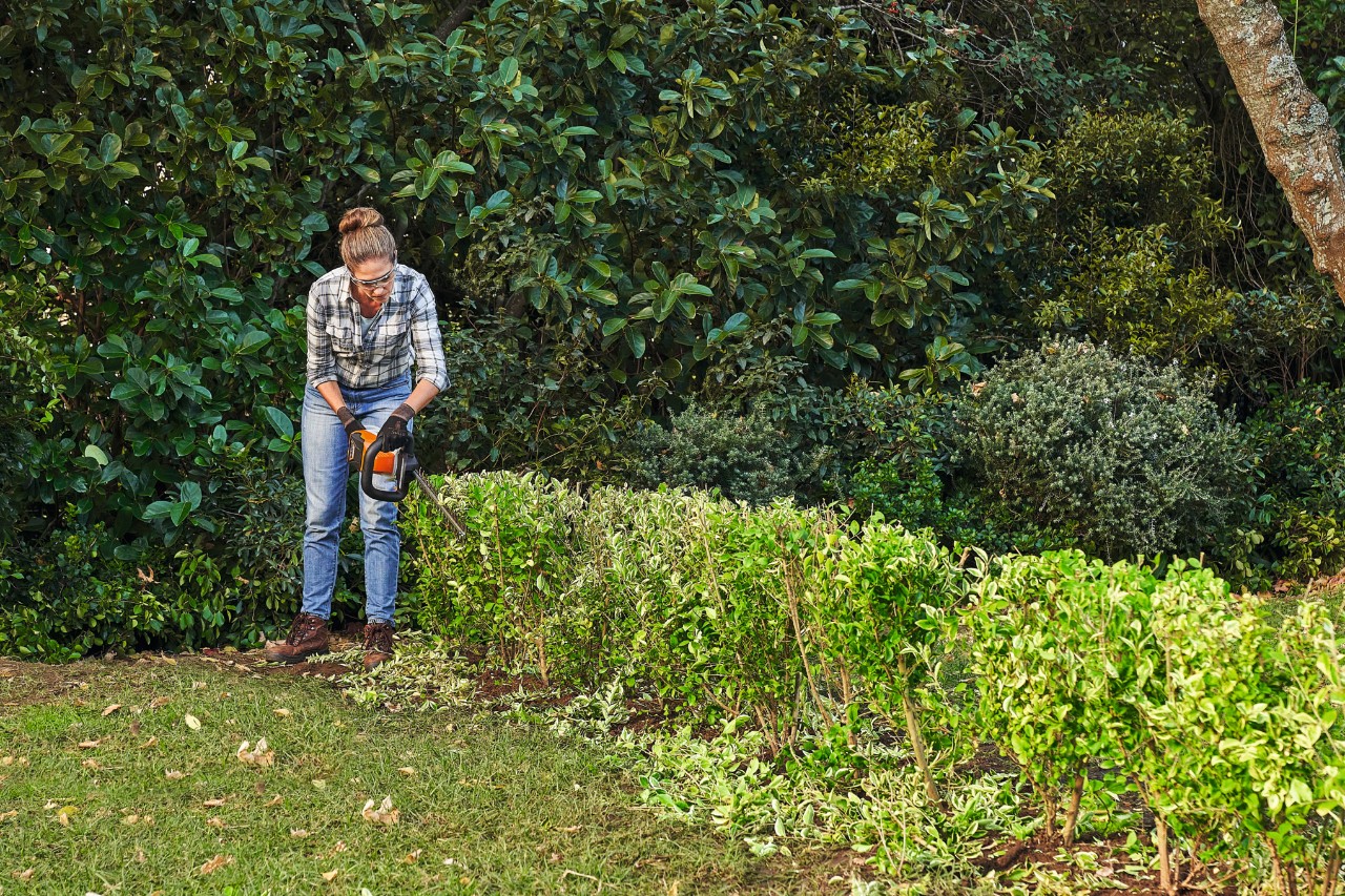 A woman cutting privet hedge with a STIHL cordless hedge trimmer