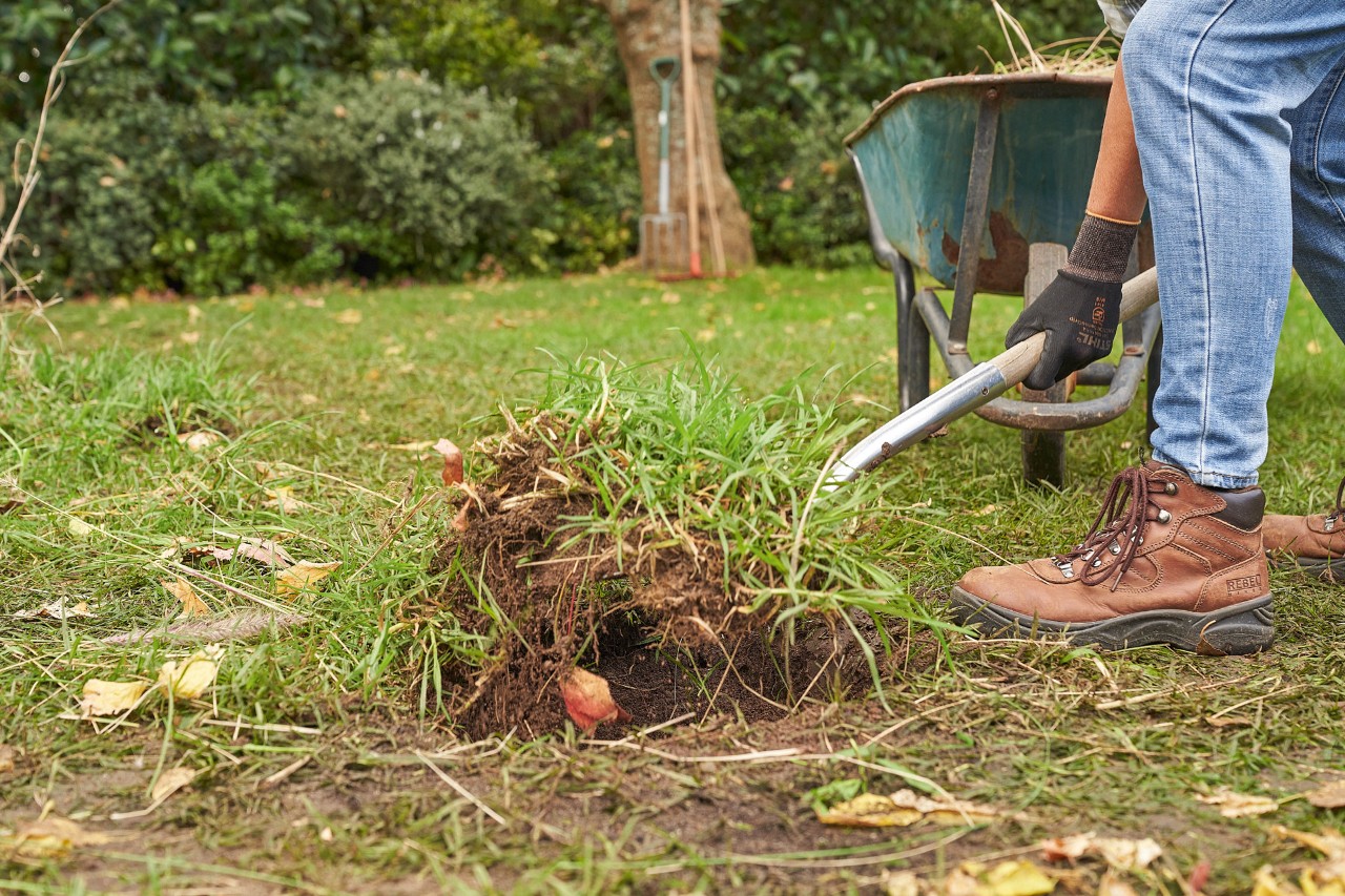 A person removing turf with a spade to plant a hedge in a garden 