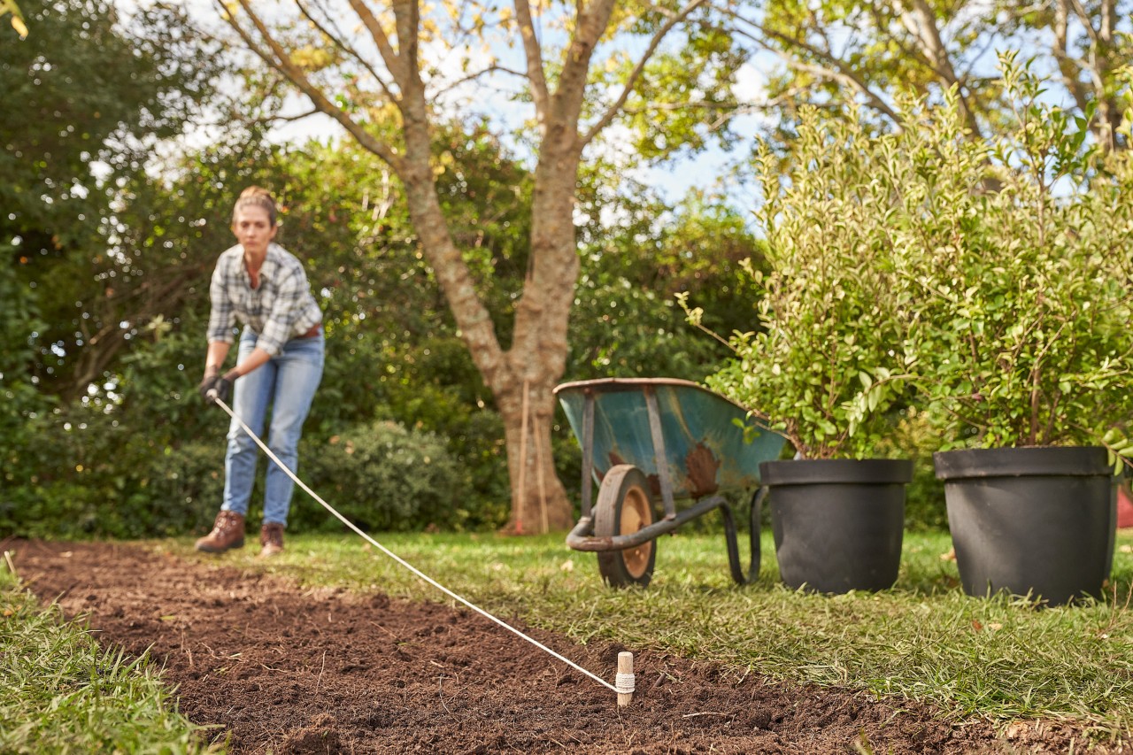 A woman marking the planned course of a hedge using a wooden stake and a guide line, to prepare for planting a hedge