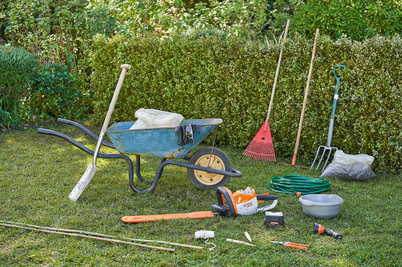 Tools for planting hedges, including the STIHL HSA 56 cordless hedge trimmer and the STIHL PG 10 secateurs.