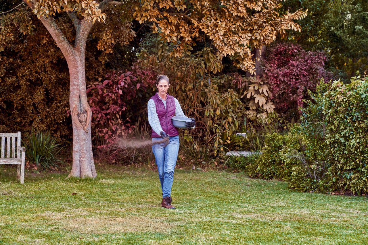 A woman spreading fertiliser in her garden