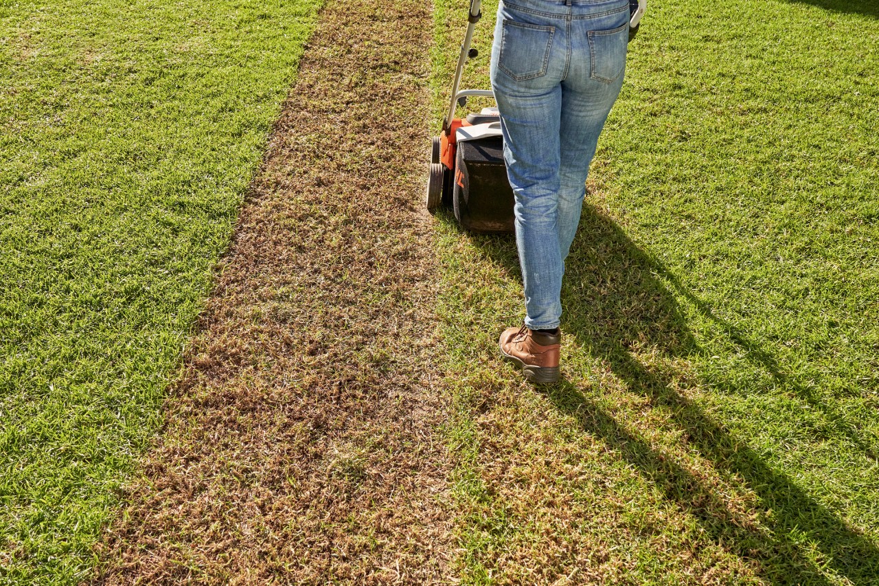 Woman aerating lawn with a STIHL RLA 240 cordless lawn scarifier.