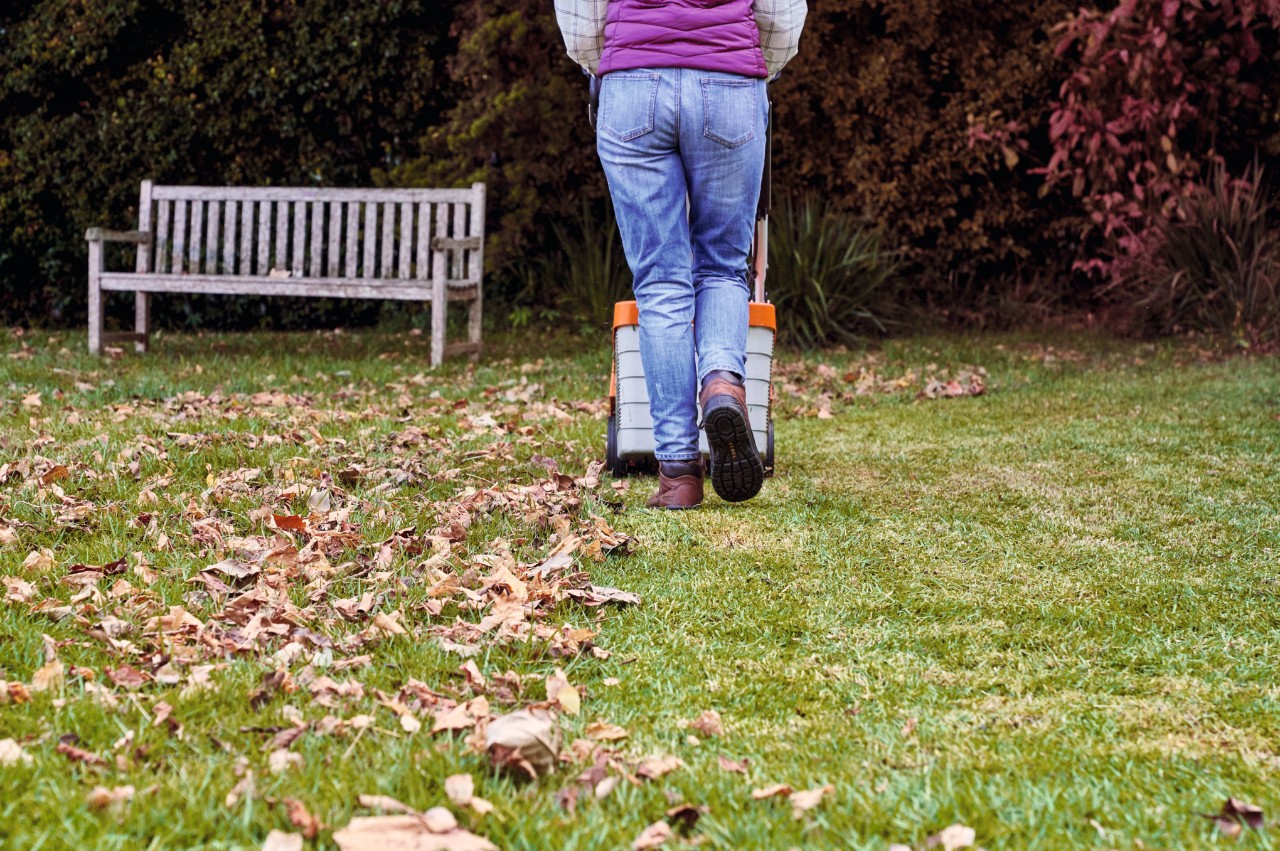 lawn mower autumn