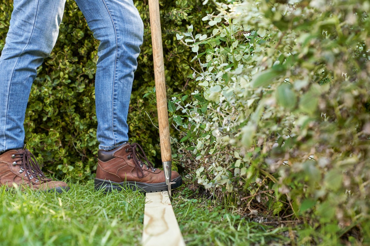 Woman wearing STIHL protective gloves uses a spade to cut into the turf along a hose, to create an English lawn edge