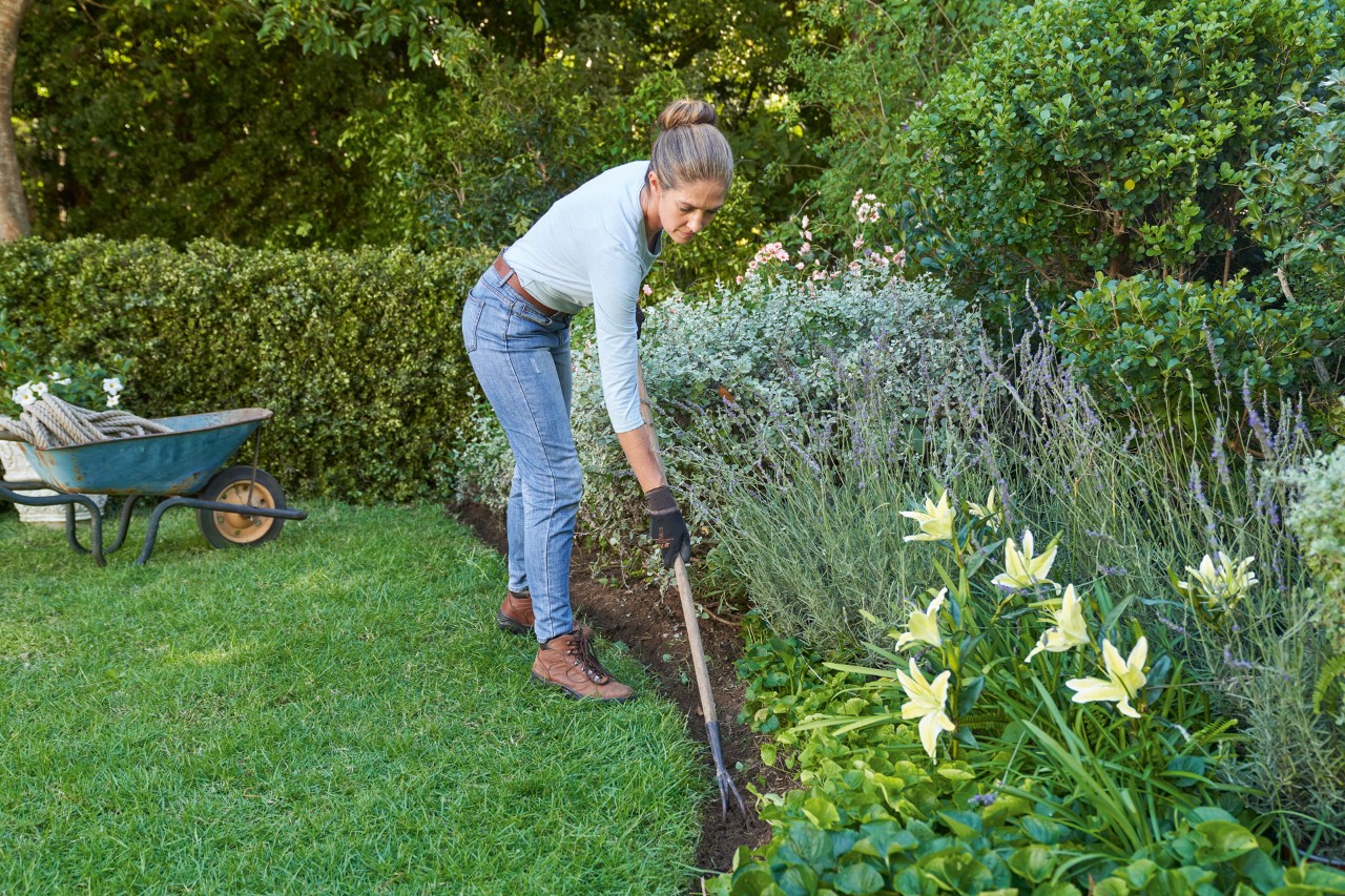 Woman wearing STIHL protective gloves loosens the soil at the English lawn edge between lawn and bed with a rake
