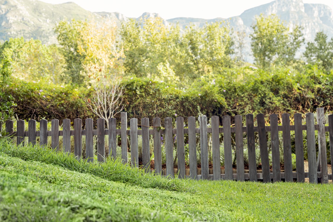 A fence behind green lawn with bushy hedges and trees in the background