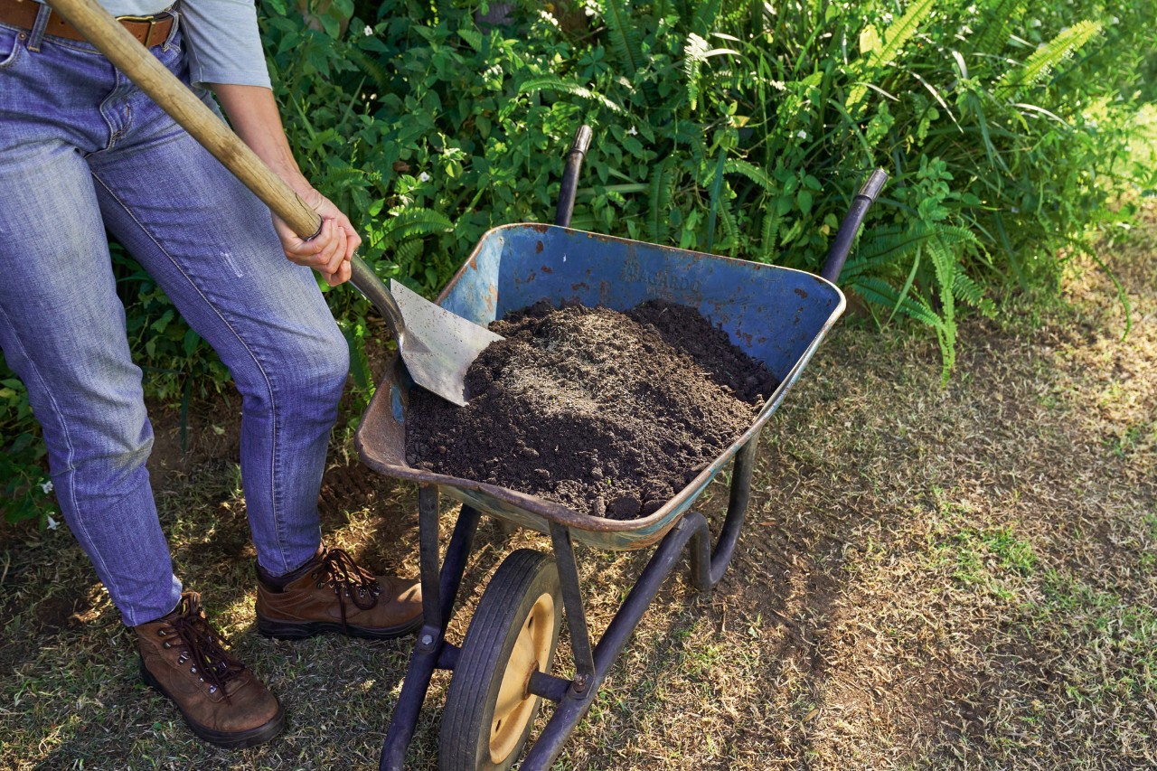 Person uses a spade to mix potting soil and lawn seeds in a wheelbarrow