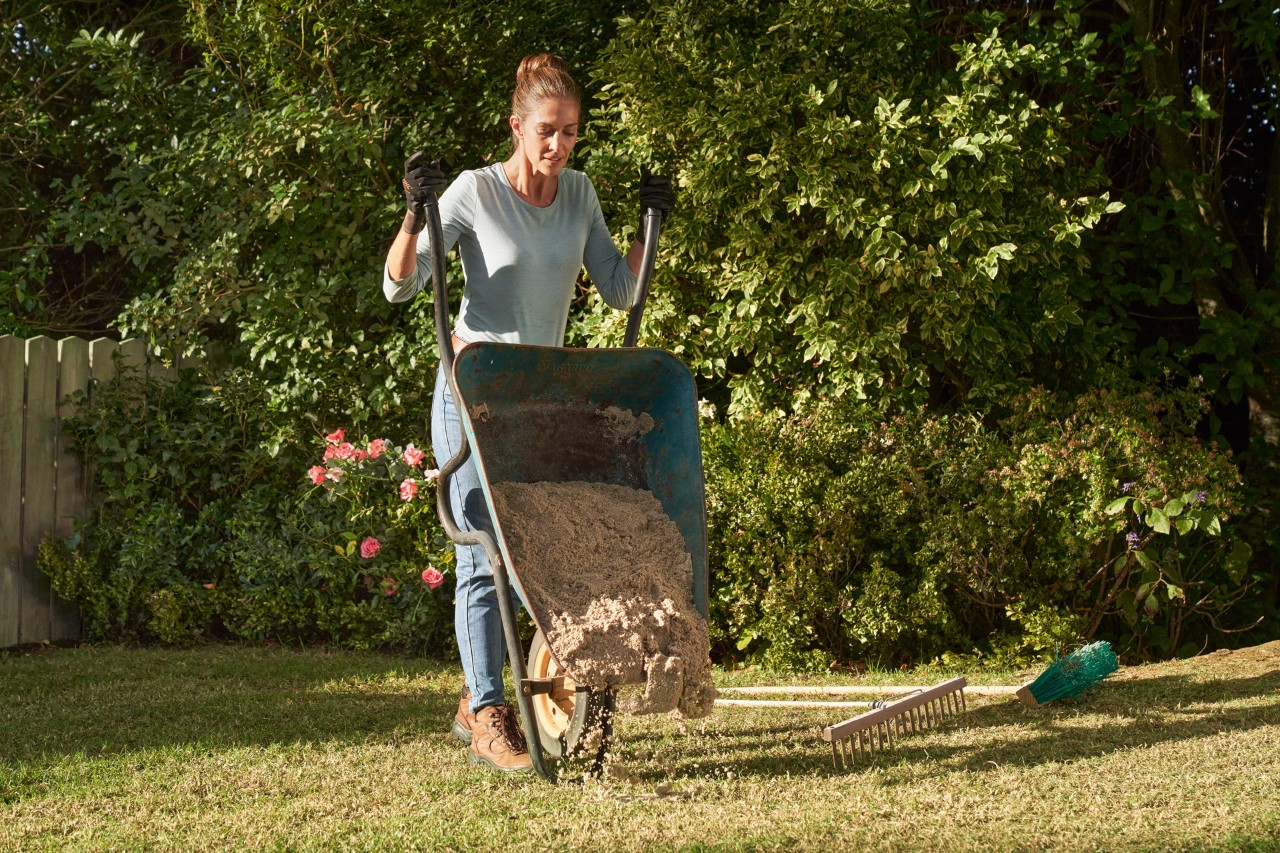 A woman tips lawn sand onto a lawn using a wheelbarrow