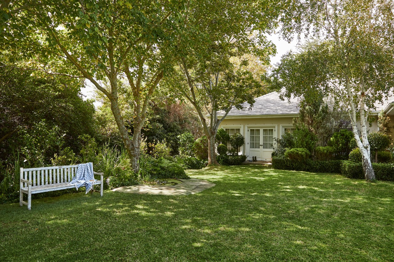 A plot with trees and a white garden bench on a shade-tolerant lawn in front of a house