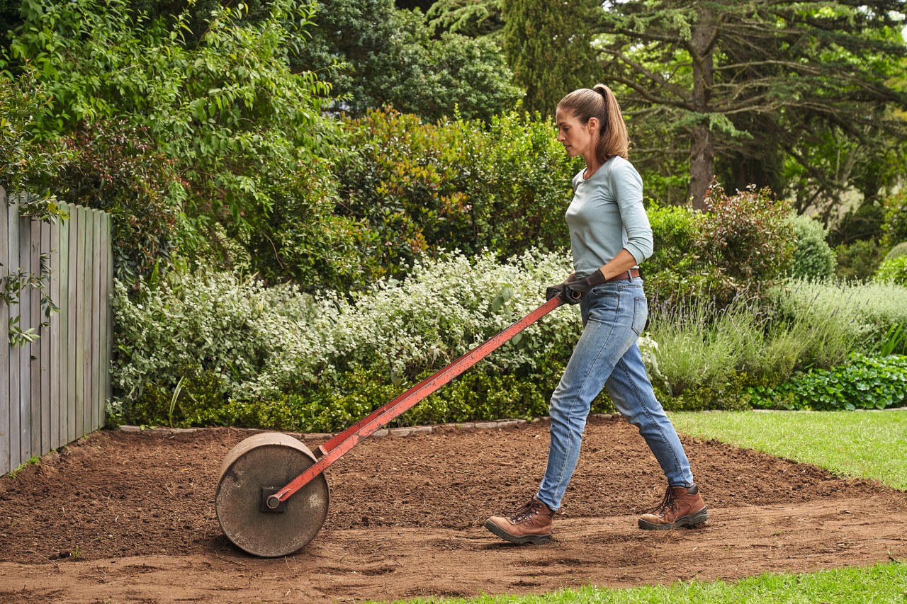 A woman using a roller to prepare soil for laying rolled turf