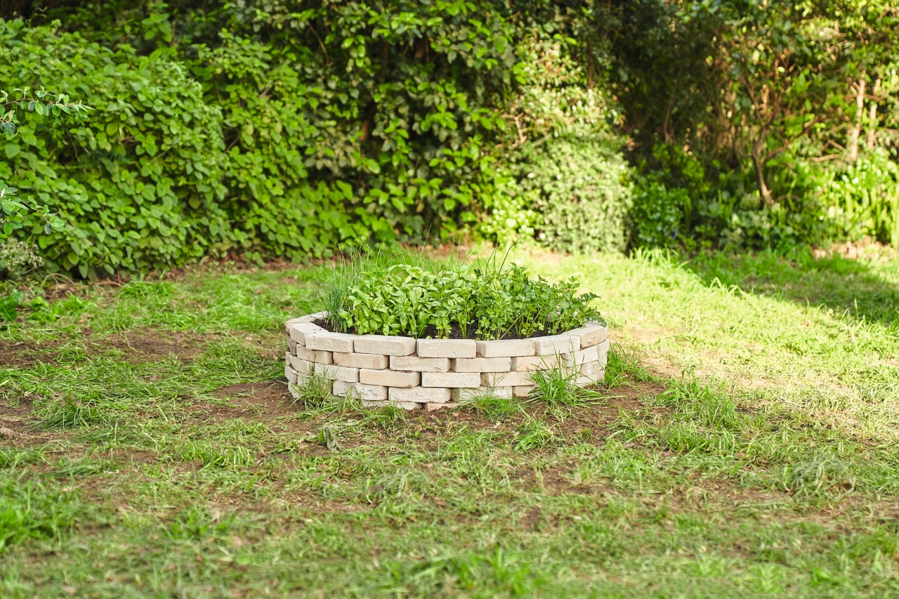 Stone-lined, circular bed over an old tree stump.