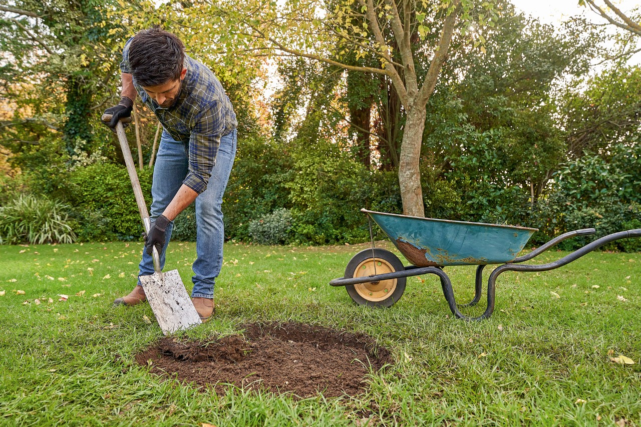 A man wearing STIHL protective gloves removing turf with a spade so he can plant a tree
