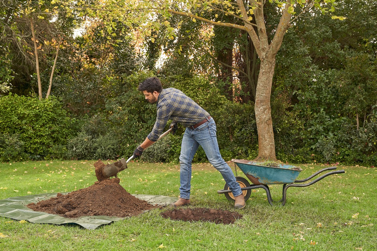 A man wearing STIHL protective gloves using a spade to dig a planting hole for a tree