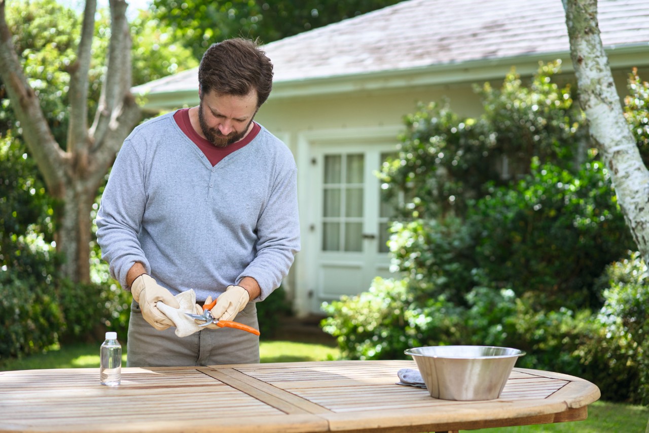 A man wearing work gloves stands behind a garden table and disinfects STIHL PG 10 Bypass secateurs