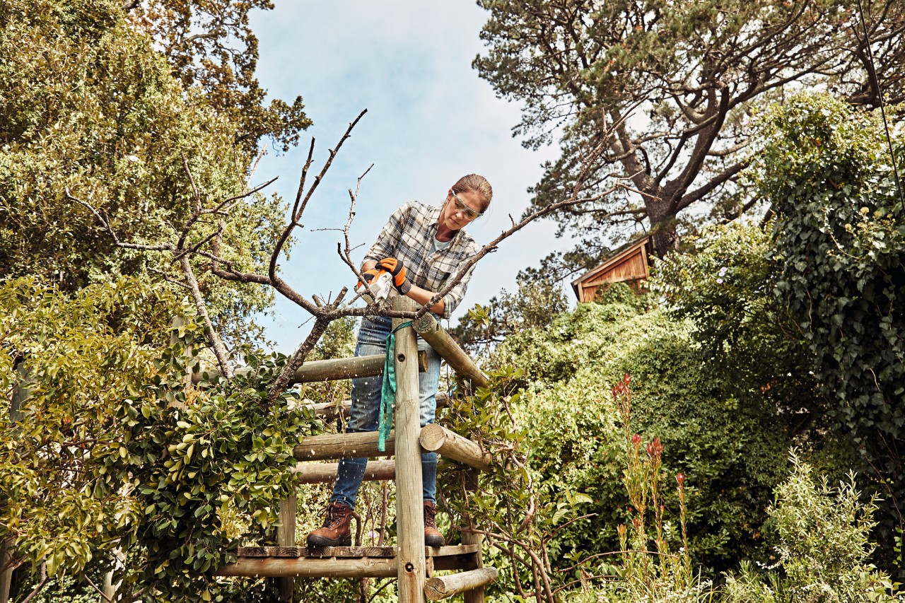 A woman on a wooden frame in a garden, cutting a branch with STIHL GTA 26 cordless garden pruners