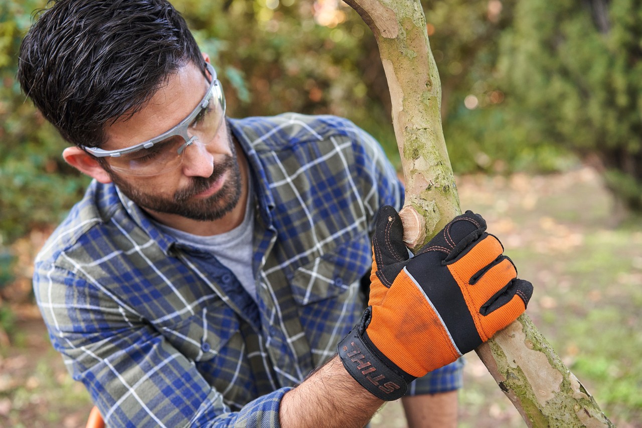 A man wearing safety glasses checking a part of the tree where a branch has been sawn off 