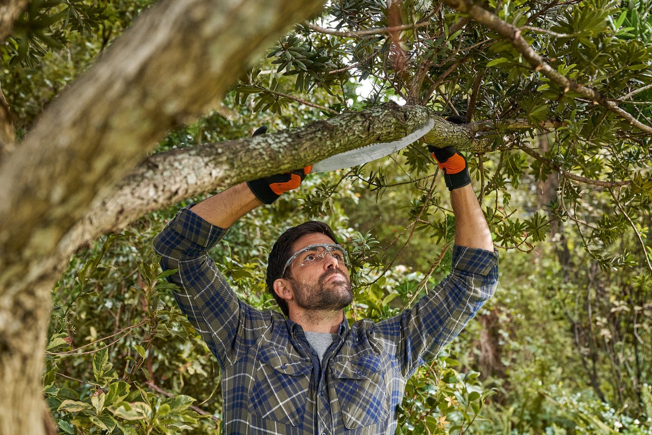 A man wearing STIHL protective gloves and safety glasses saws a branch from the bottom to the middle of the branch