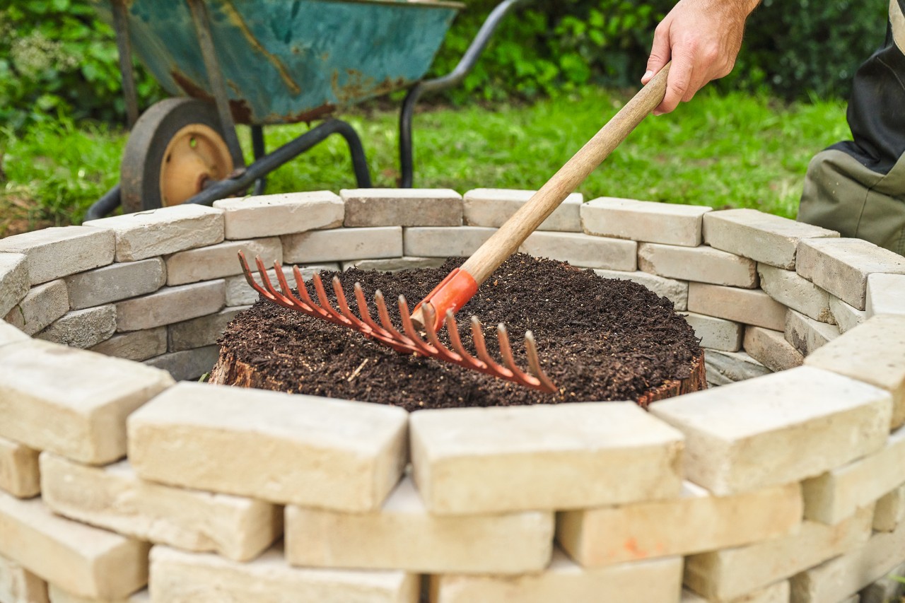 Close-up of someone rubbing compost into tree stump slits using the back of a rake
