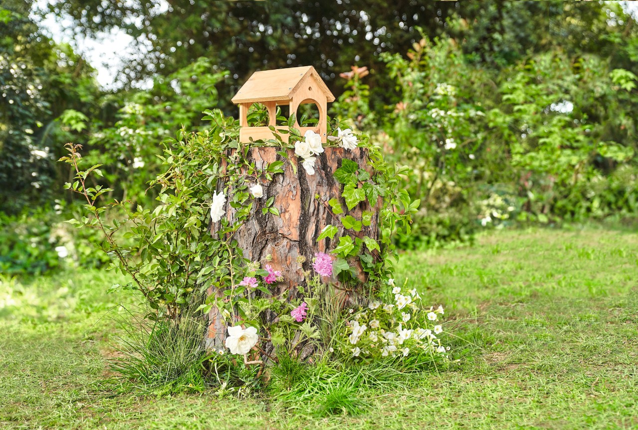 A bird feeder on a tree stump covered in climbing plants
