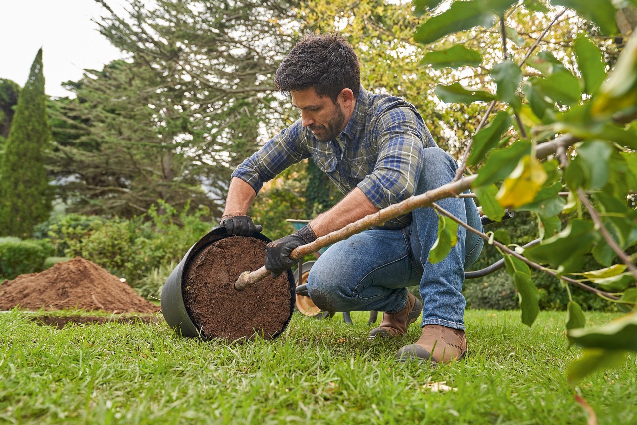 A man kneeling in the garden getting ready to plant a small tree