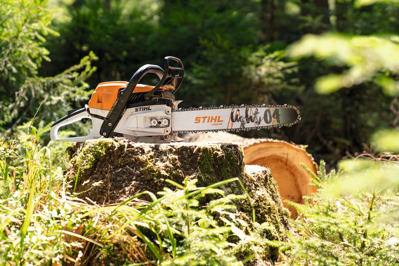 Petrol-driven chainsaw STIHL MS 261 C-M and Carving blade Light 04 lying on a tree trunk in forest