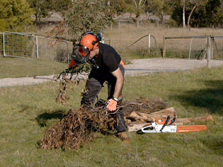 Chainsaw safety tips - clear area