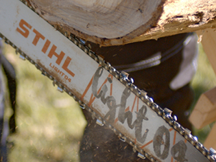 Chainsaw safety tips - chainsaw brake stop