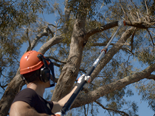 Chainsaw safety tips - shoulder height