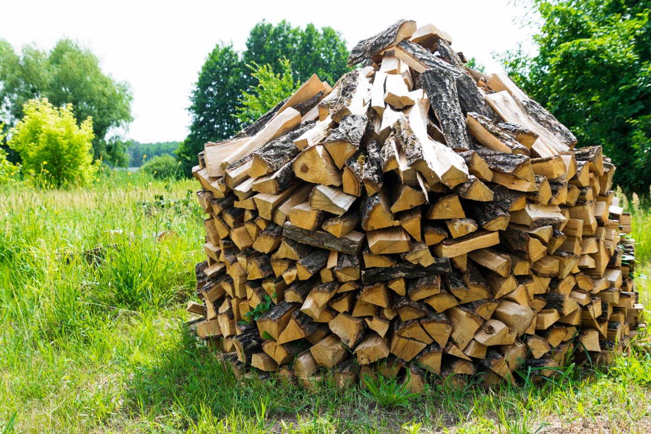 A round stack of firewood on a garden plot