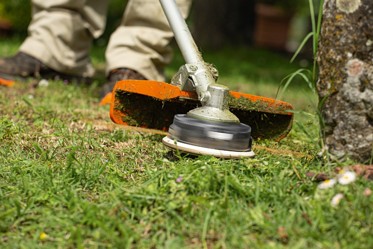Person mowing around a tree with a STIHL FS 240 brushcutter