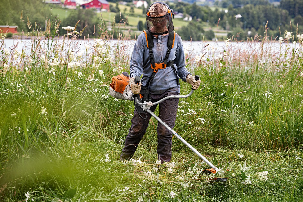 A woman mowing long grass beside a lake with a STIHL FS 240 brushcutter and face protection