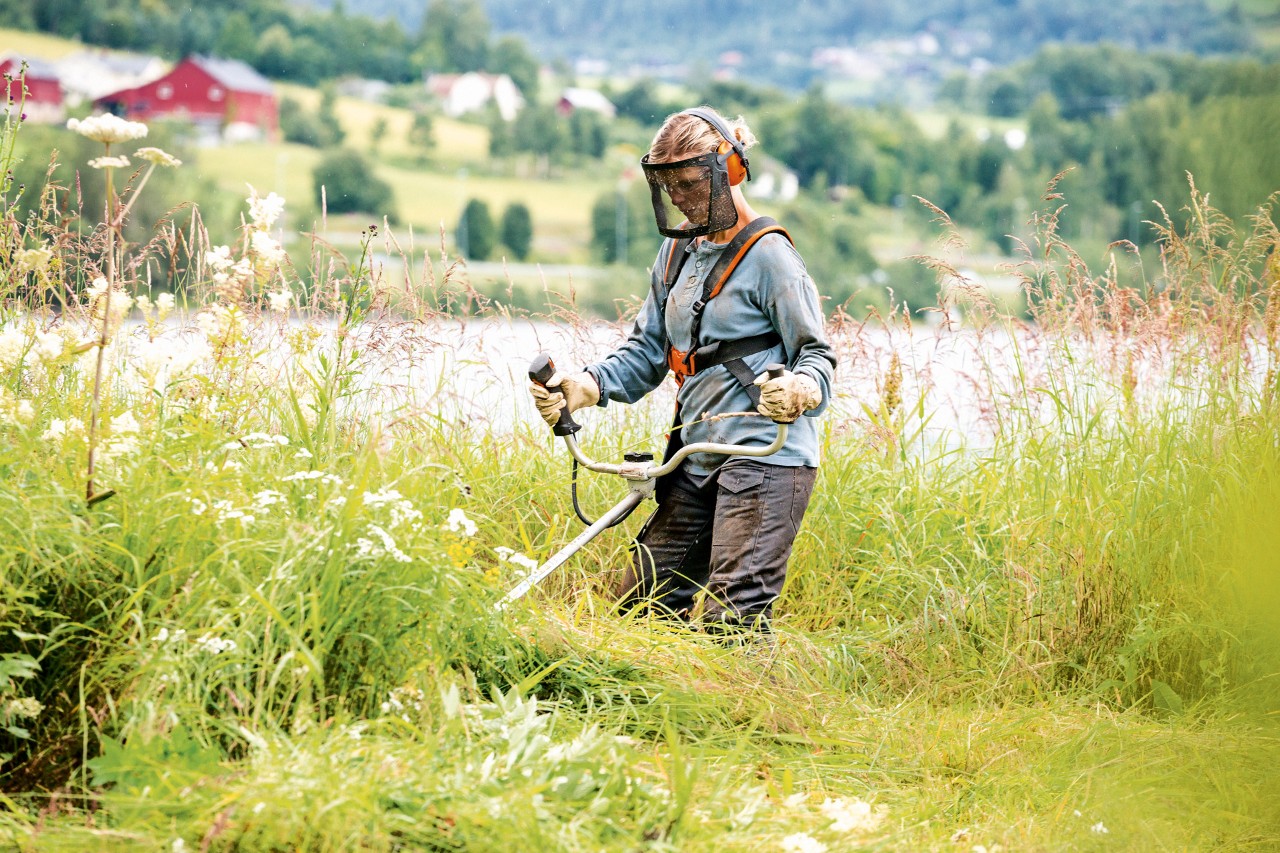 A man wearing appropriate protective clothing working in long grass with a STIH FS 240 petrol grass trimmer