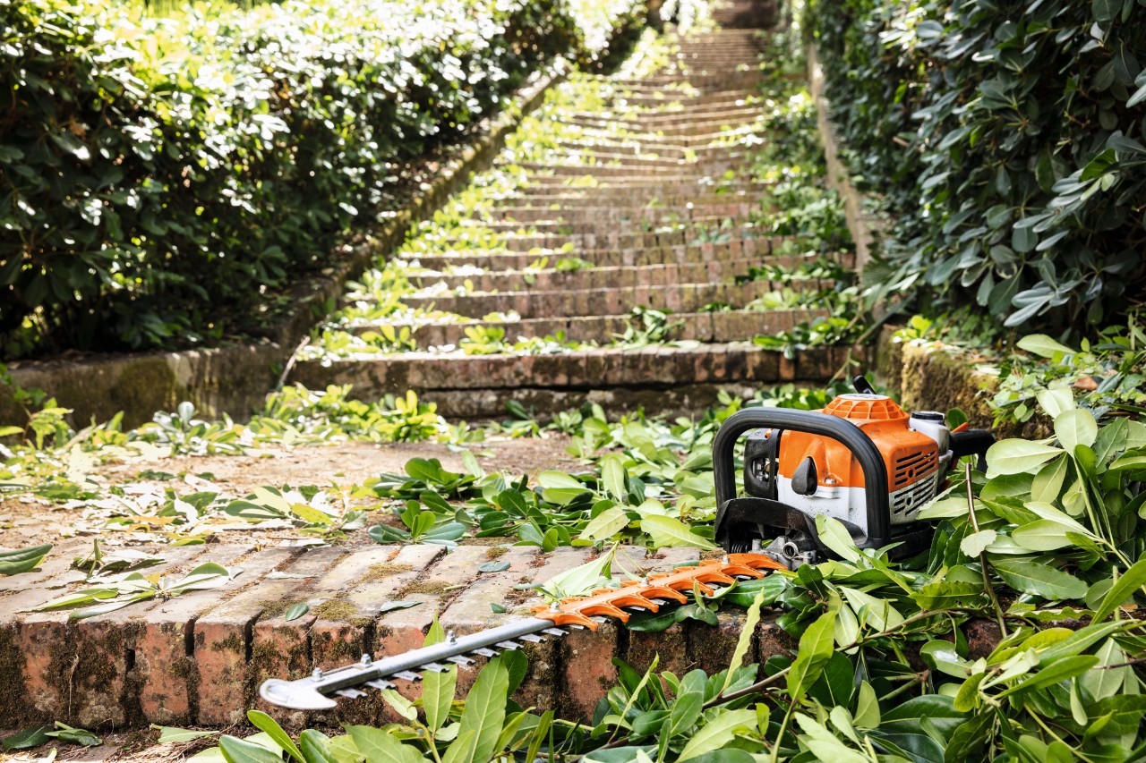 STIHL HS 82 T petrol hedge trimmer lying among green leaves on steps before maintenance