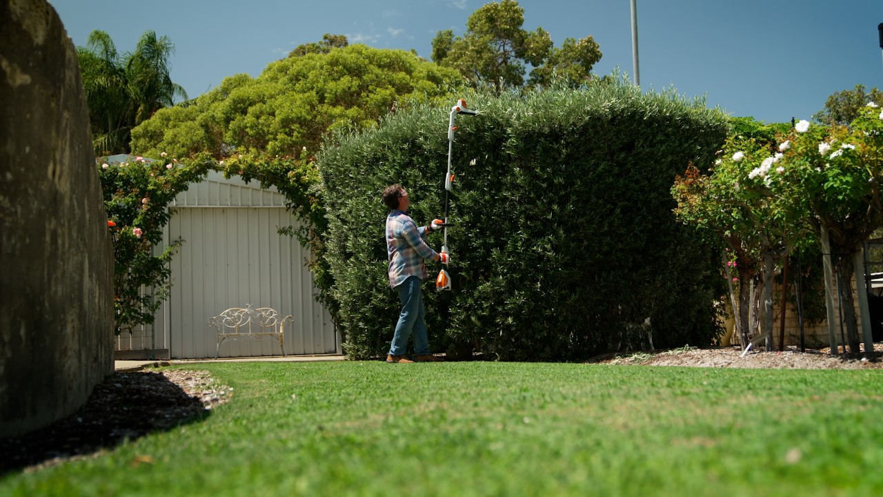 Battery Long-reach Hedge Trimmer STIHL HLA 56 Review